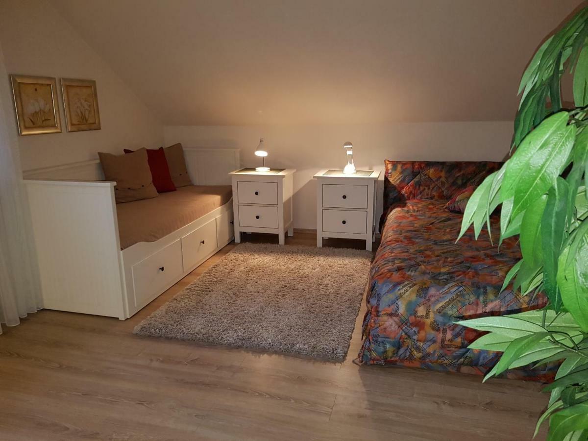 Haus Homann-Schneider, Apartment Stefan Wetter  Dış mekan fotoğraf